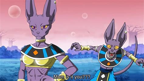 who does beerus like.